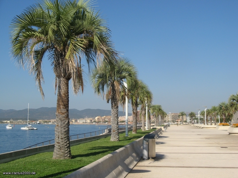 Promenade in Saint Rafael