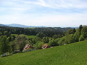Blick auf den Südschwarzwald