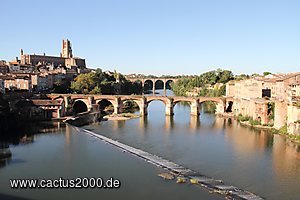 Albi